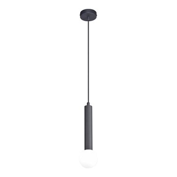 ITALUX - FILANO Cable Pendant 1xG9/5W/230V, Black
