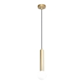 ITALUX - FILANO Cable Pendant Light 1xG9/5W/230V, Gold