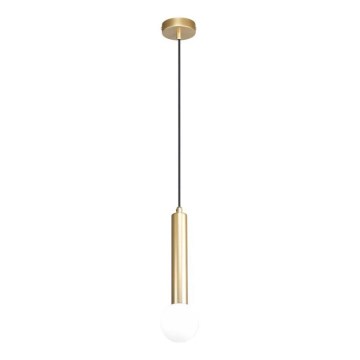 ITALUX - FILANO Cable Pendant Light 1xG9/5W/230V, Gold