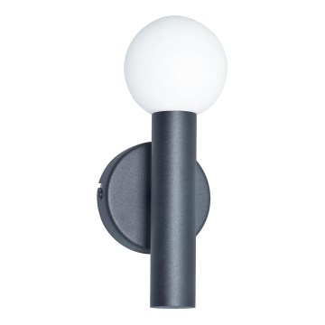ITALUX - FILANO Wall light 1xG9/5W/230V black
