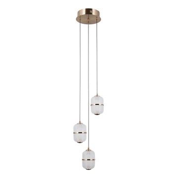 ITALUX - LED cable-suspended chandelier ALANI 3xLED/5W/230V 3000K gold