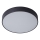 ITALUX - LED Ceiling light ORBITAL LED/30W/230V 3000K black
