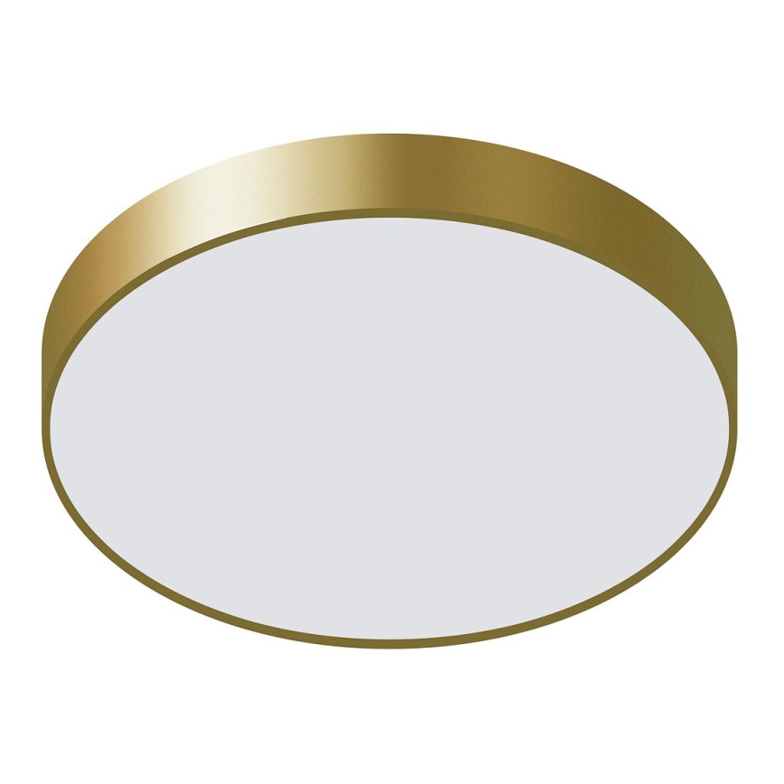 ITALUX - LED Ceiling light ORBITAL LED/30W/230V 3000K gold
