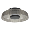 ITALUX - LED Ceiling Light PASSO LED/8W/230V 3000K Ø 25 cm smoked black