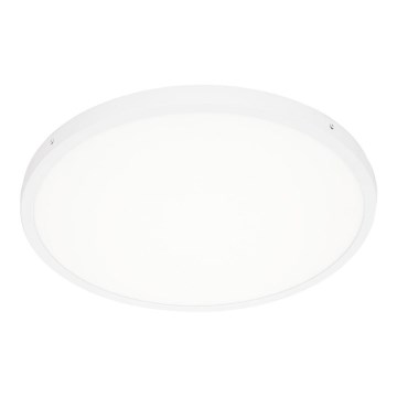 ITALUX - LED Ceiling light PELARO LED/36W/230V 4000K d. 50 cm white