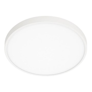 ITALUX - LED Ceiling light RIBERIO LED/30W/230V 3000K white