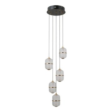 ITALUX - LED pendant lamp on cable ALANI 5xLED/5.6W/230V 3000K black/gold
