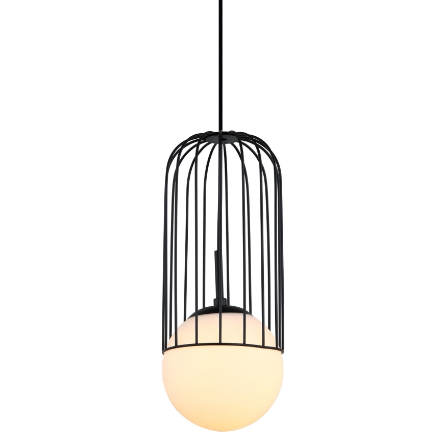 ITALUX - Chandelier on a string MATTY 1xE27/40W/230V d. 15 cm black