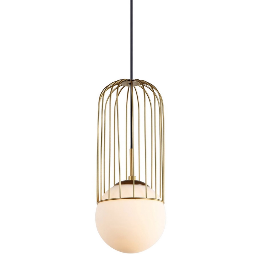 ITALUX - Chandelier on a string MATTY 1xE27/40W/230V d. 15 cm gold