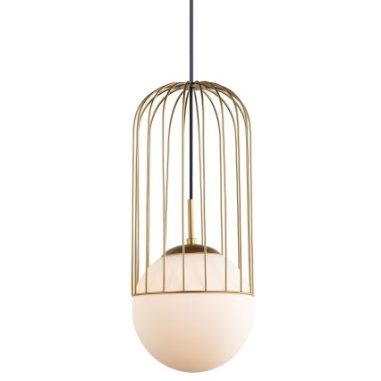 ITALUX - Chandelier on a string MATTY 1xE27/40W/230V d. 20 cm gold