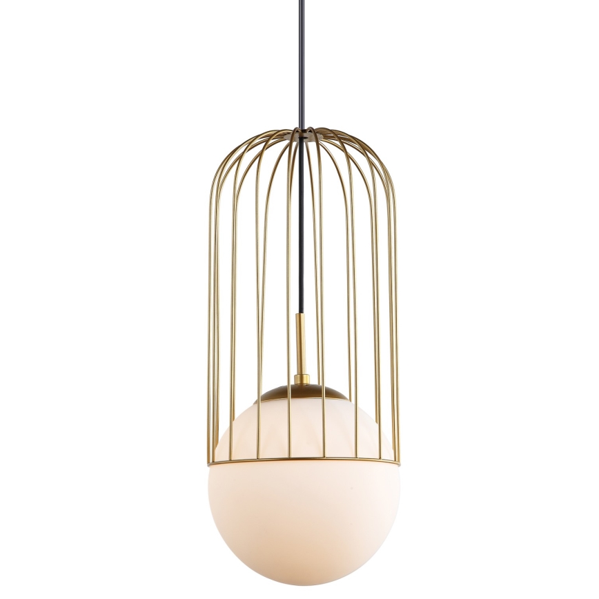 ITALUX - Chandelier on a string MATTY 1xE27/40W/230V d. 20 cm gold