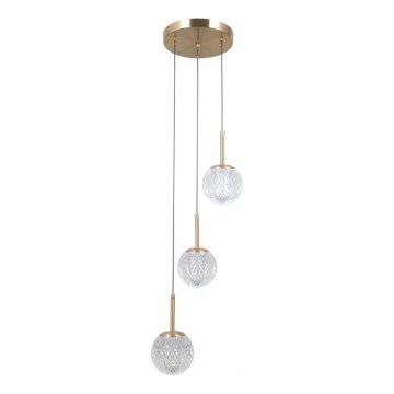 ITALUX - PADRI cable pendant chandelier 3xG9/5W/230V gold