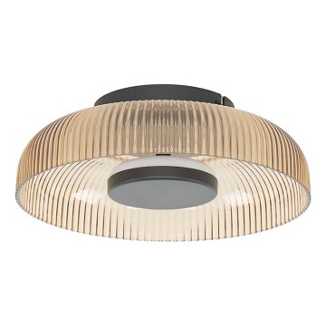 ITALUX - PASSO LED Ceiling Light LED/8W/230V 3000K Ø 25 cm smoky beige