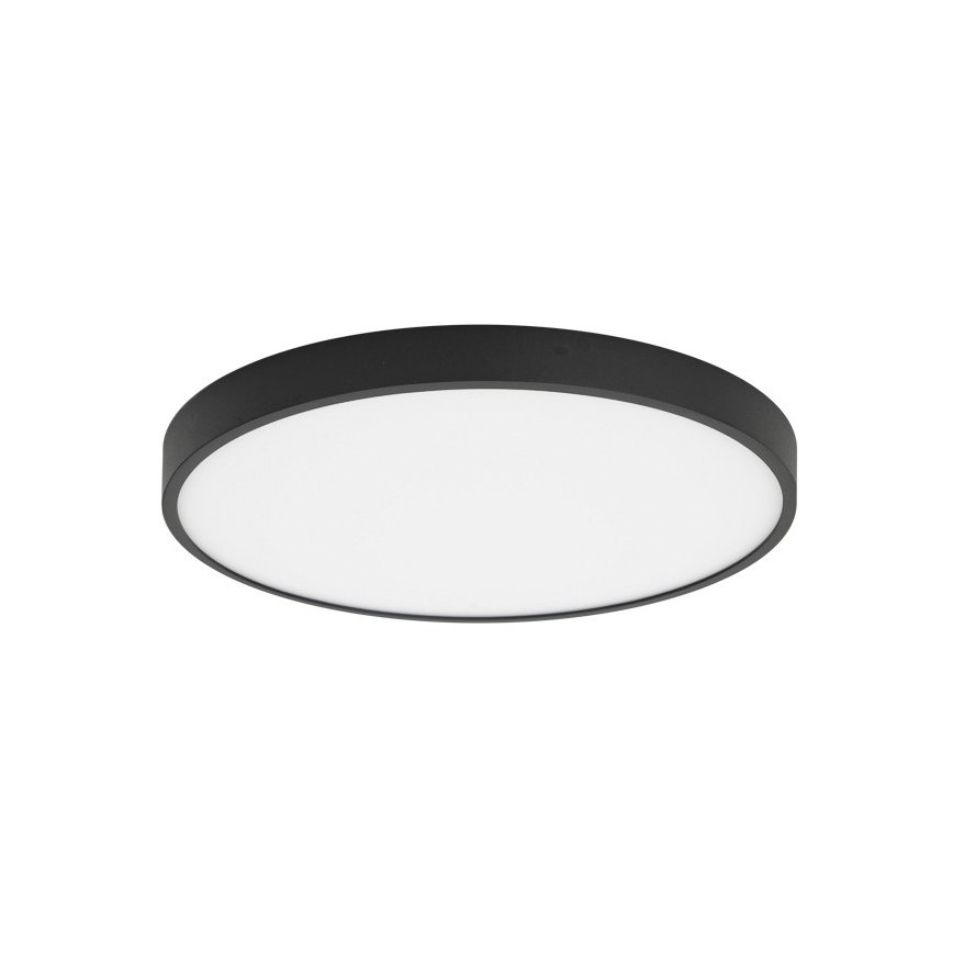 ITALUX - LED Ceiling light RIBERIO LED/30W/230V 4000K black