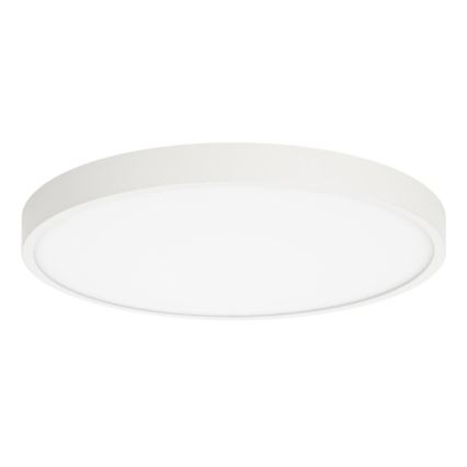 ITALUX - LED Ceiling light RIBERIO LED/30W/230V 3000K white