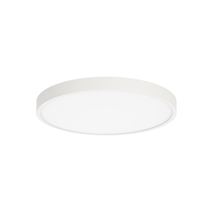 ITALUX - LED Ceiling light RIBERIO LED/30W/230V 3000K white