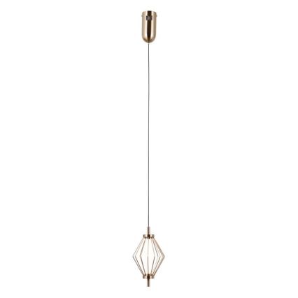 ITALUX - LED pendant on cable SEVILLA LED/5W/230V 3000K gold