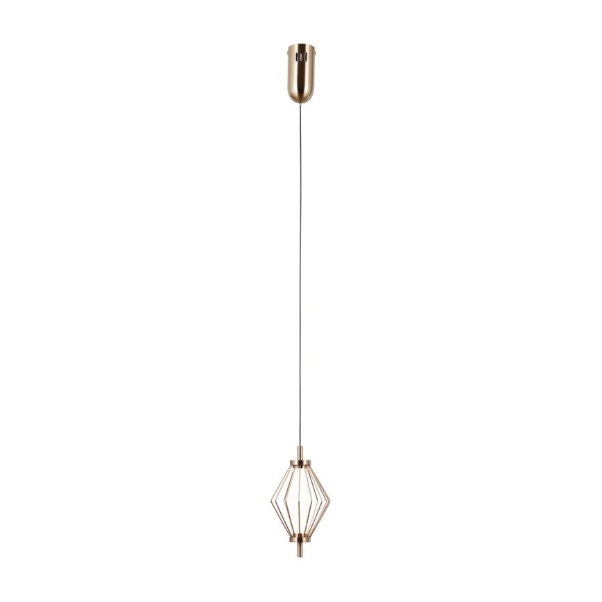ITALUX - LED pendant on cable SEVILLA LED/5W/230V 3000K gold