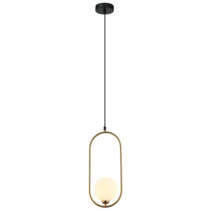 ITALUX - Chandelier on a string LUPUS 1xG9/25W/230V black/gold