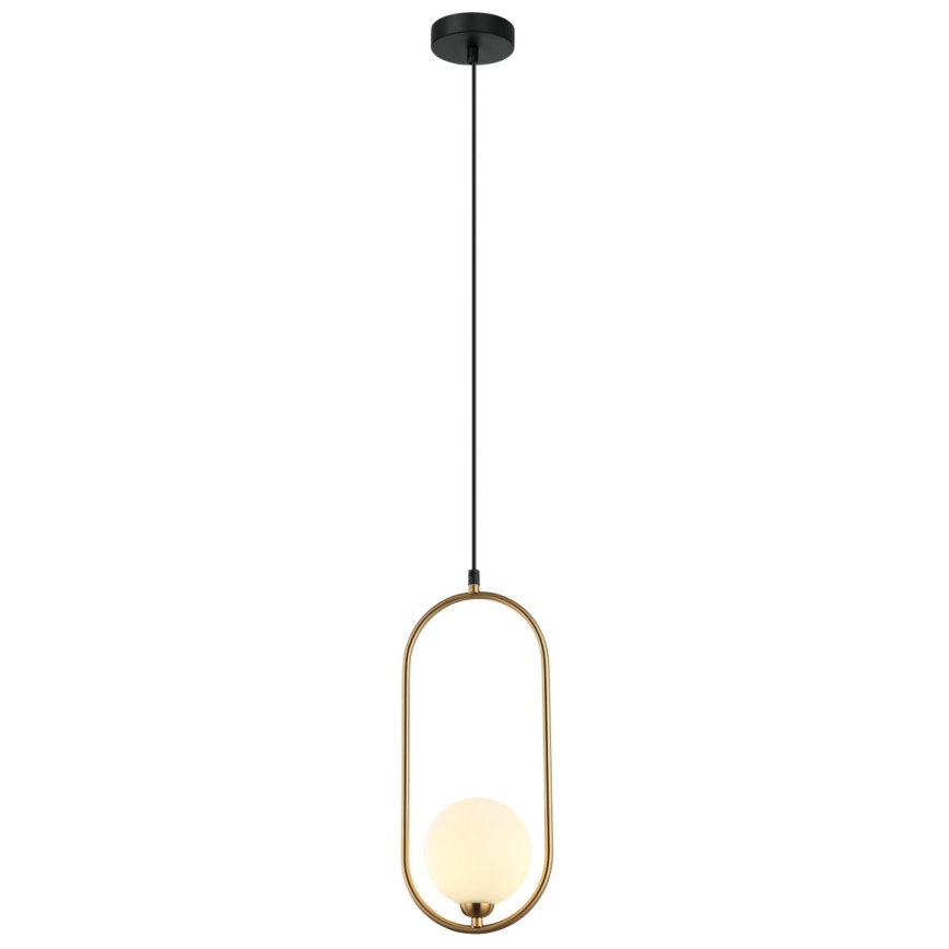 ITALUX - Chandelier on a string LUPUS 1xG9/25W/230V black/gold