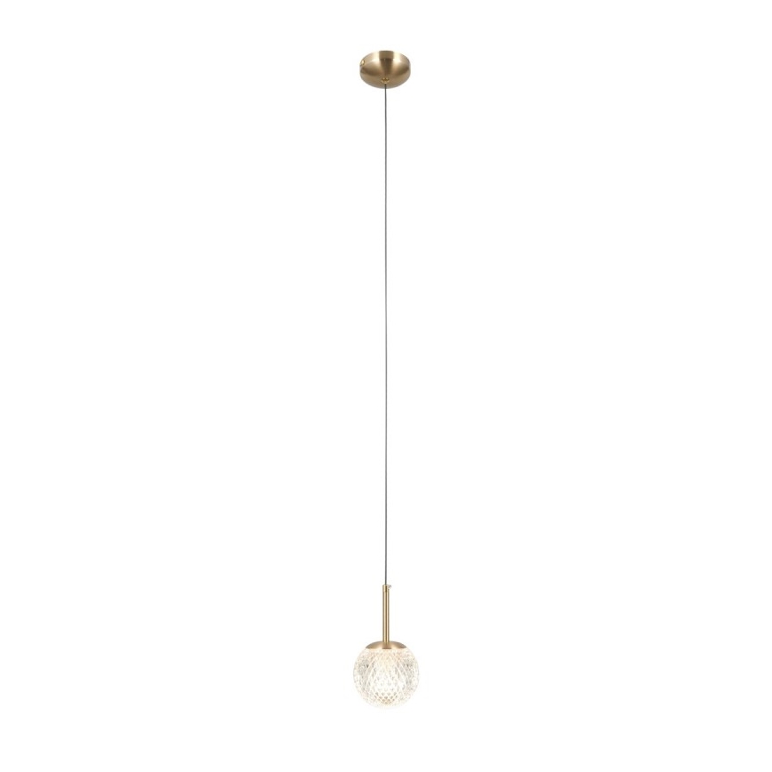 ITALUX - PADRI cable-hung pendant light 1xG9/5W/230V gold
