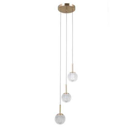 ITALUX - PADRI cable pendant chandelier 3xG9/5W/230V gold