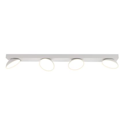 ITALUX - LED Spotlight CASTELIO 4xLED/5W/230V 4000K white