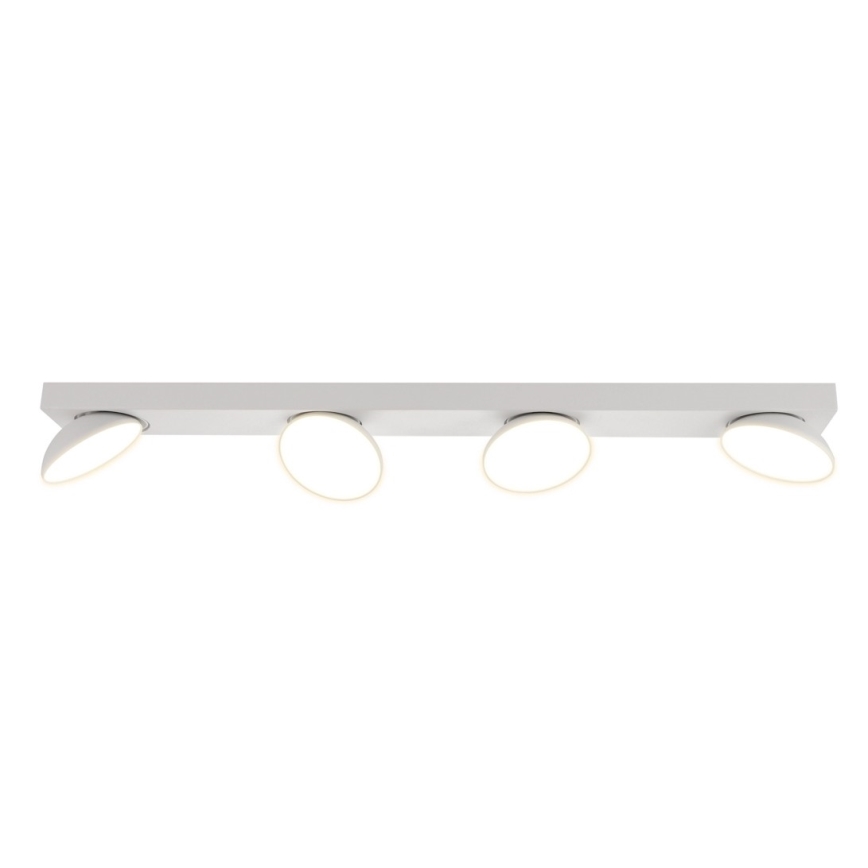 ITALUX - LED Spotlight CASTELIO 4xLED/5W/230V 4000K white