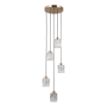 ITALUX - TORNO Cable Pendant Light 5xE14/40W/230V, Gold