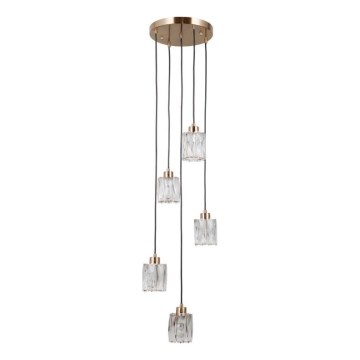 ITALUX - TORNO Cable Pendant Light 5xE14/40W/230V, Gold