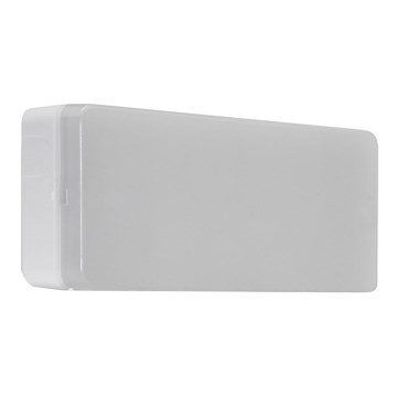 Iverlux ESERA 100L LED - LED Emergency light LED/1,4W/230V IP44 6500K