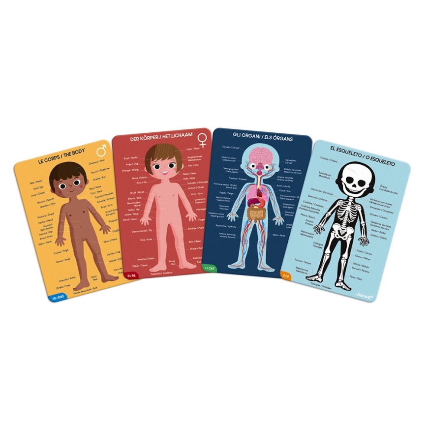 Janod - Children's educational puzzle 225 pcs human body