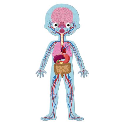 Janod - Children's educational puzzle 225 pcs human body