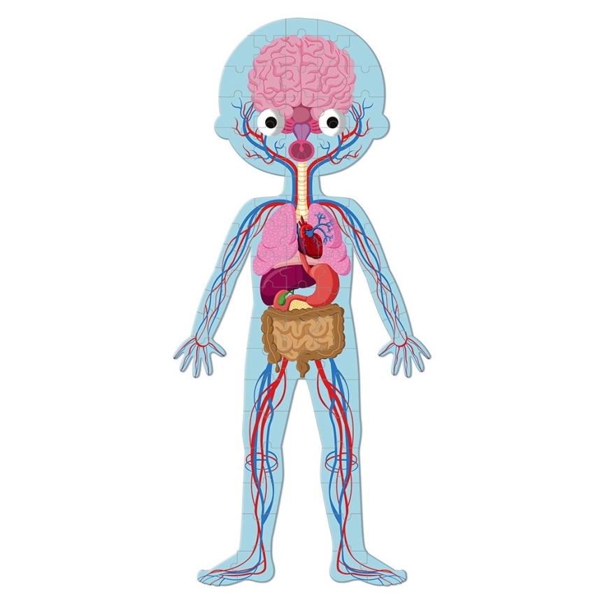 Janod - Children's educational puzzle 225 pcs human body