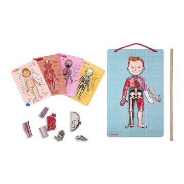 Janod - Magnetic jigsaw puzzle BODYMAGNET human body