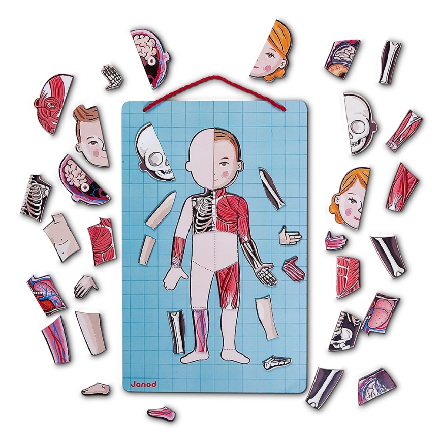 Janod - Magnetic jigsaw puzzle BODYMAGNET human body