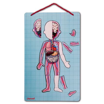 Janod - Magnetic jigsaw puzzle BODYMAGNET human body