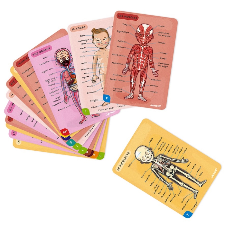 Janod - Magnetic jigsaw puzzle BODYMAGNET human body
