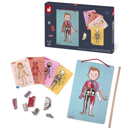 Janod - Magnetic jigsaw puzzle BODYMAGNET human body