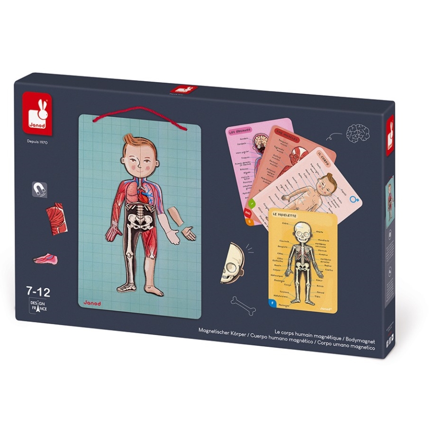 Janod - Magnetic jigsaw puzzle BODYMAGNET human body