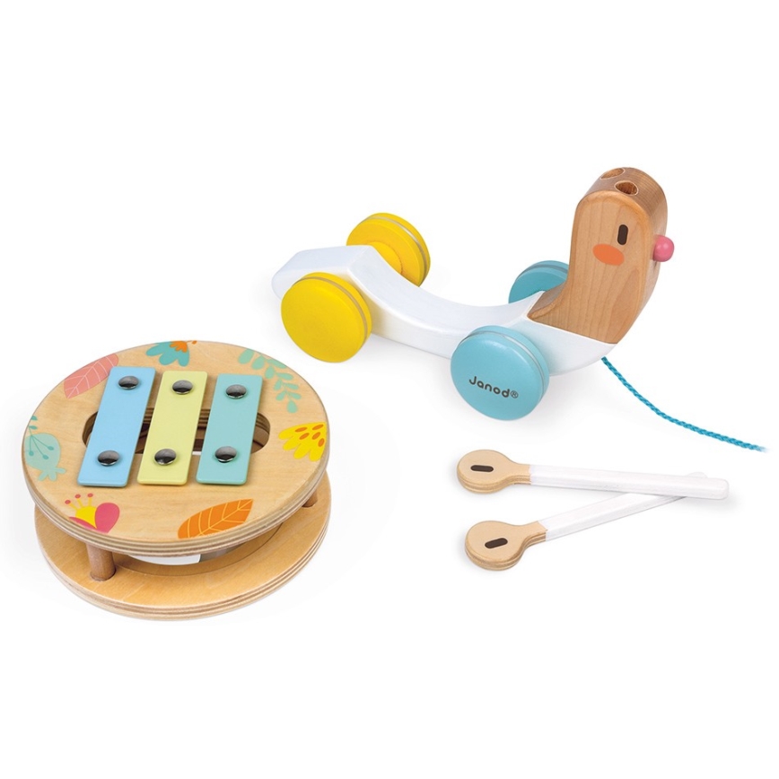 Janod - Wooden snail with a xylophone PURE