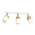 JOKER Directional Spotlight 3xGU10/25W/230V White/Gold