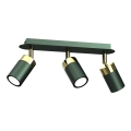 JOKER Spotlight 3xGU10/25W/230V Green/Gold