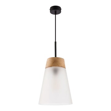 Jupiter 1538 - DM 1 MA - Pendant light DOMINO E27/60W