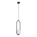 Jupiter 1726 - Chandelier on a string IGON 1xE14/40W/230V black
