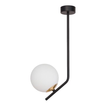 Jupiter 1731 - Pendant chandelier TIM 1xE14/40W/230V brass