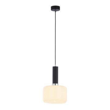 Jupiter 1861 - VA1 - Chandelier on a string VANES 1xE27/60W/230V