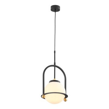 Jupiter 1912 - ROSSO Cable-Hung Pendant Light 1xE27/15W/230V Black