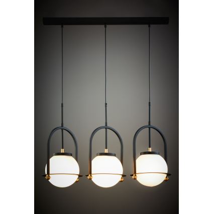 Jupiter 1916 - ROSSO Cable Pendant Light 3xE27/15W/230V, Black