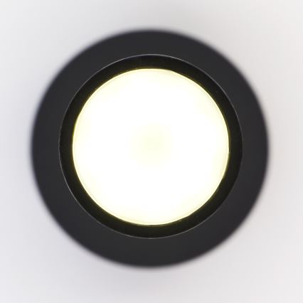 Jupiter 2003 - Chandelier on a string ALAS 1xGU10/10W/230V black/gold